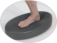 Thera-Band Stability Trainer Siyah